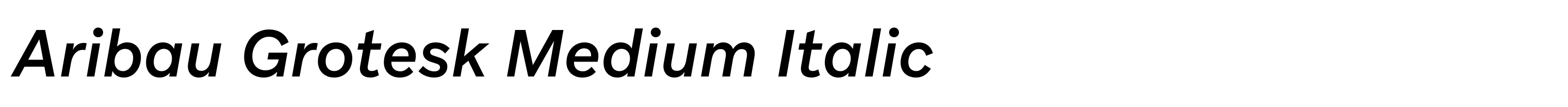 Aribau Grotesk Medium Italic